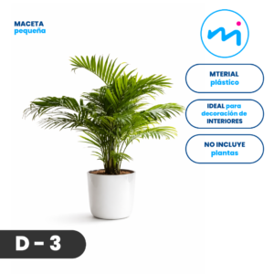 D-3 l Maceta pequeña-C